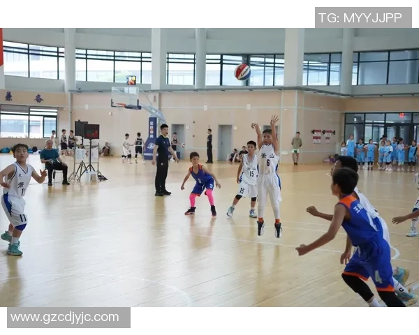 杭州篮球队挑战赛个人能力分析与表现评估