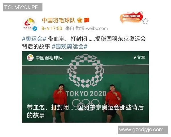 杭州羽毛球队实力分析与表现评估：数据背后的故事与启示