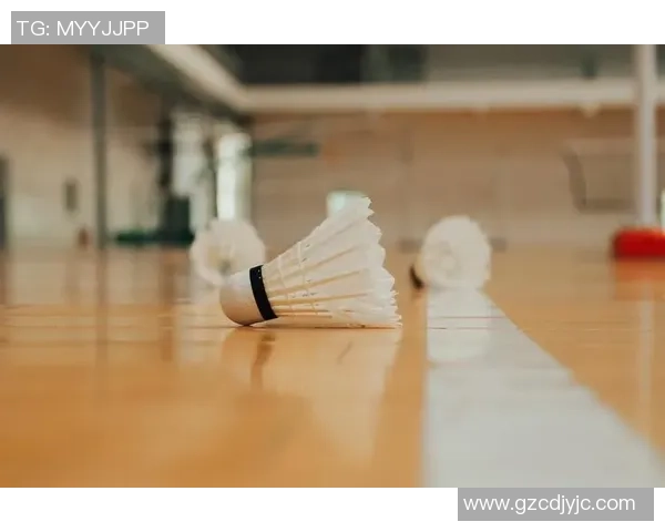 赛后分析:上海羽毛球队与杭州羽毛球队的战术意识与团队协作探讨