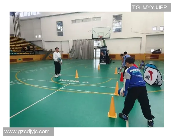 杯赛点评：杭州羽毛球队的耐力表现