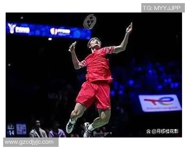 世锦赛点评：西安羽毛球队的实力表现