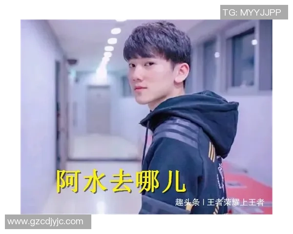 王者荣耀深度：解密FPX的盯防