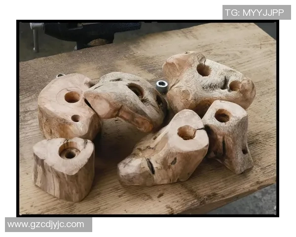 科学攀岩：实力训练方法_1